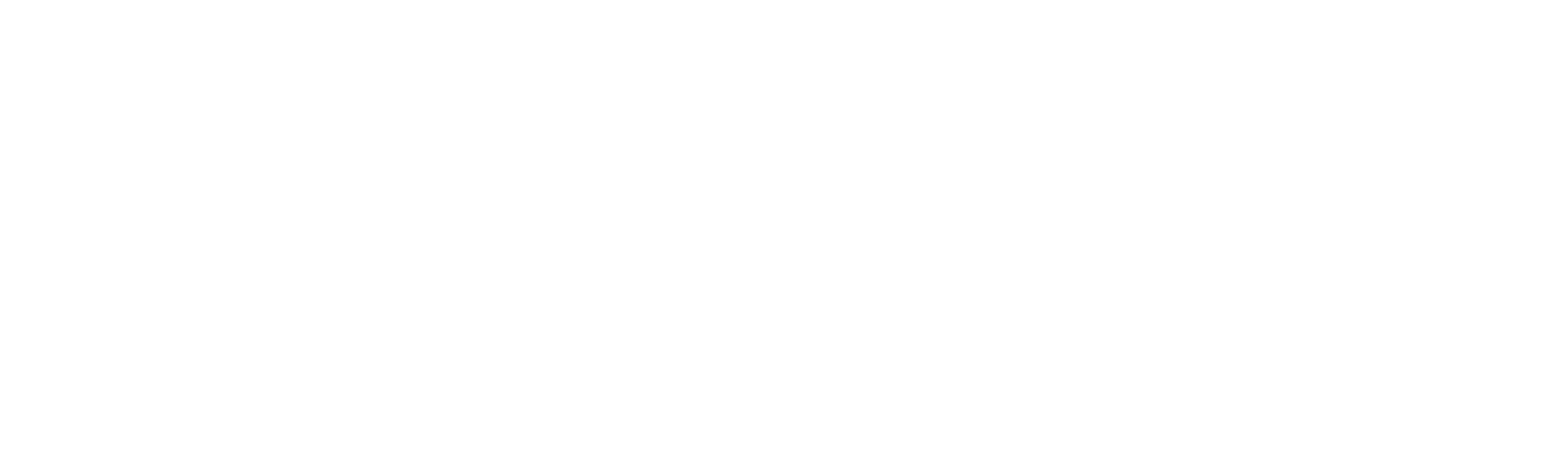 FixonAI